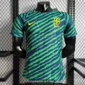 Camiseta Authentic Brasil Special Edition Green Blue 2022/2023